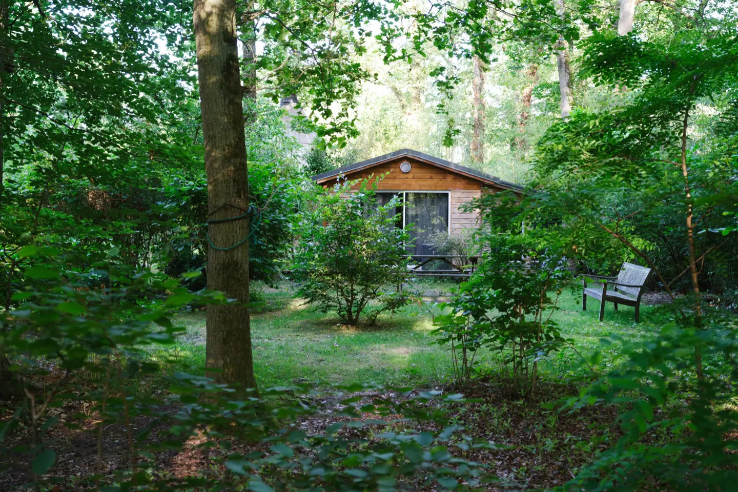 Acousmahome à Arbonne-la-Forêt, photo 5