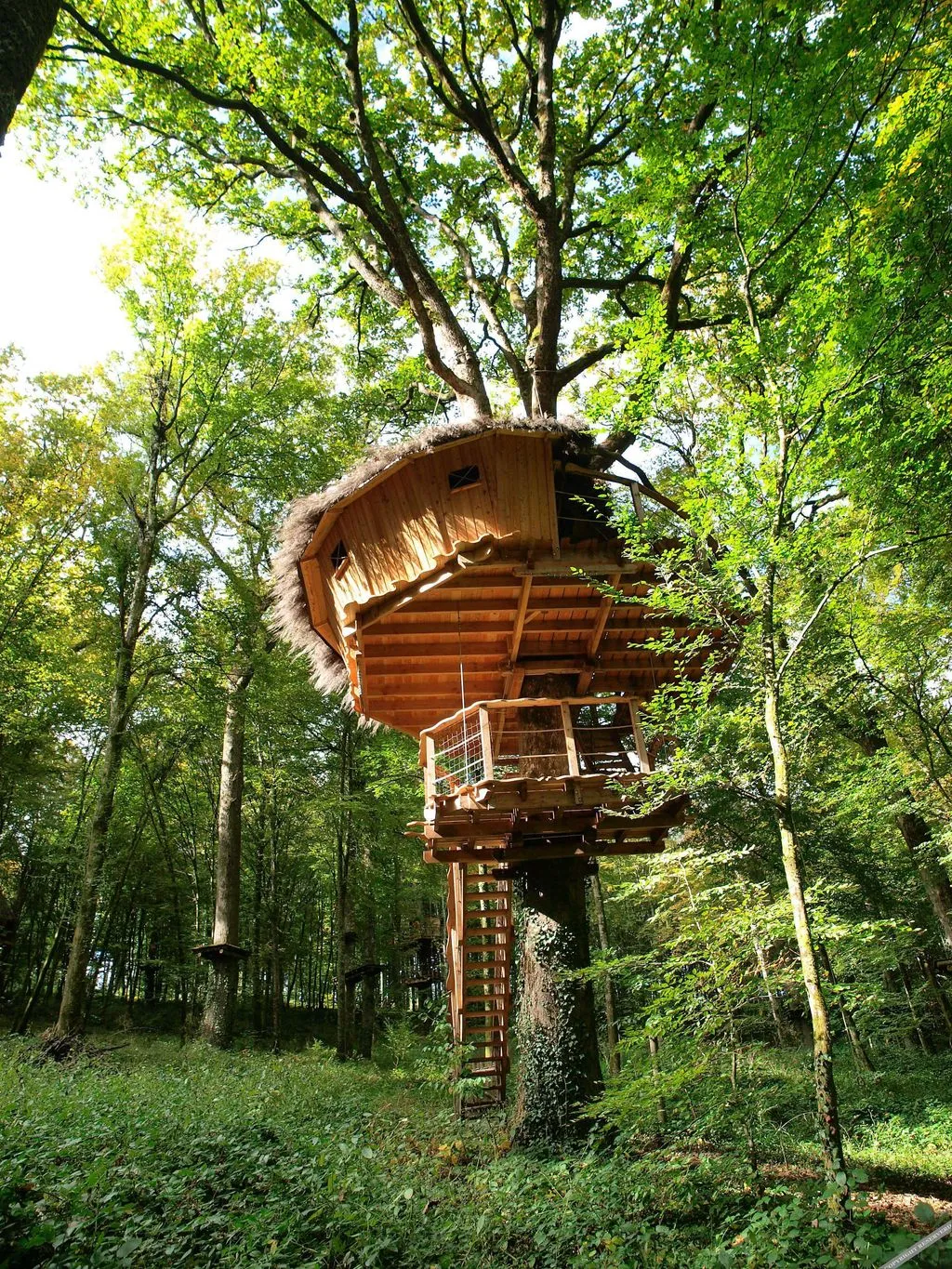 L'Arbre à Cabane à Guyonvelle, photo 3