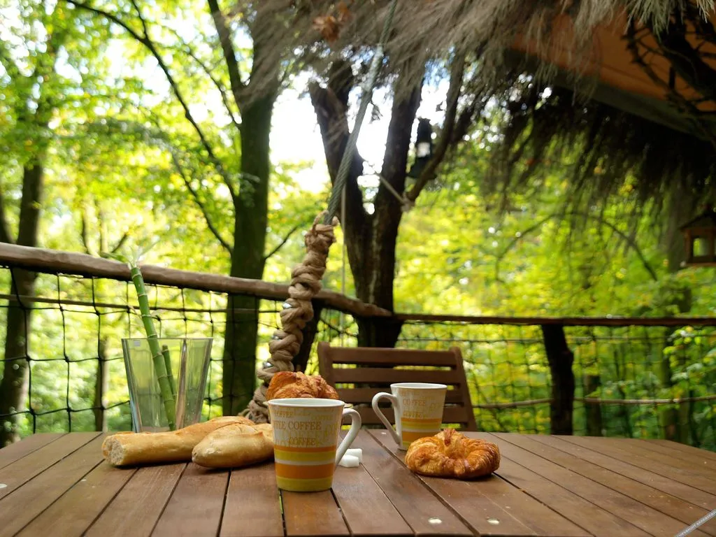 L'Arbre à Cabane à Guyonvelle, photo 5