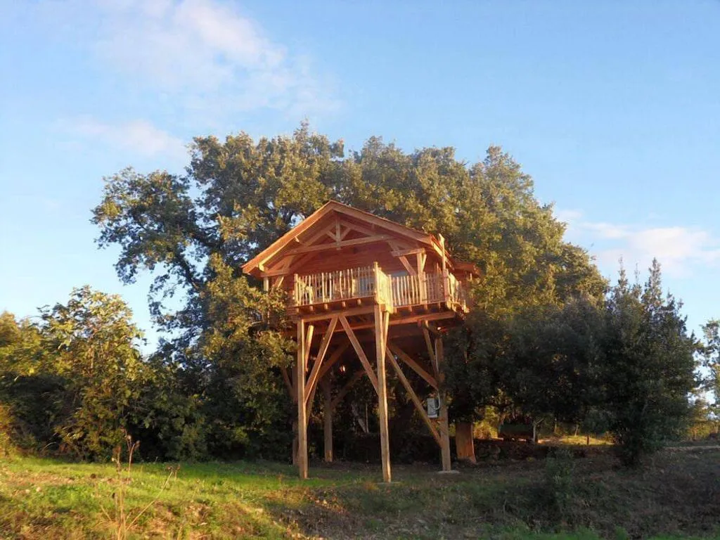 Aura Cabana à Saint-André-d'Olérargues, photo 5