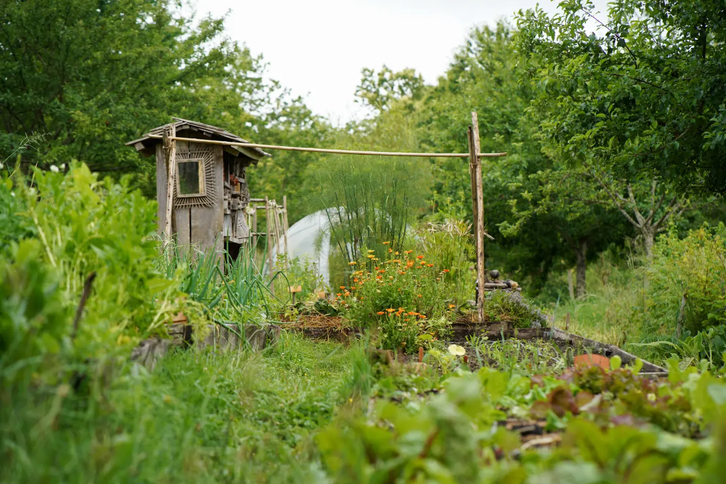 Cabane à l'orée du bois à Manzac-sur-Vern, photo 3