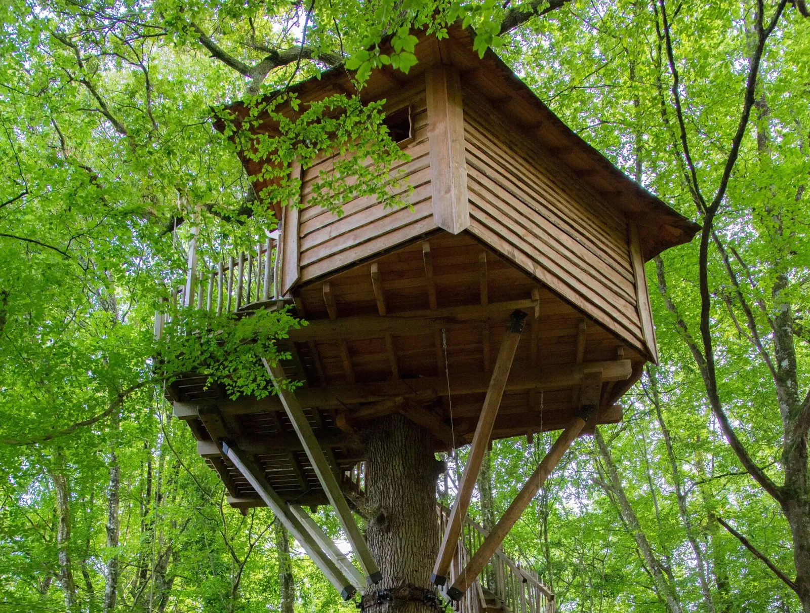 Cabane A la Folie, cabane dans les arbres à Coulx