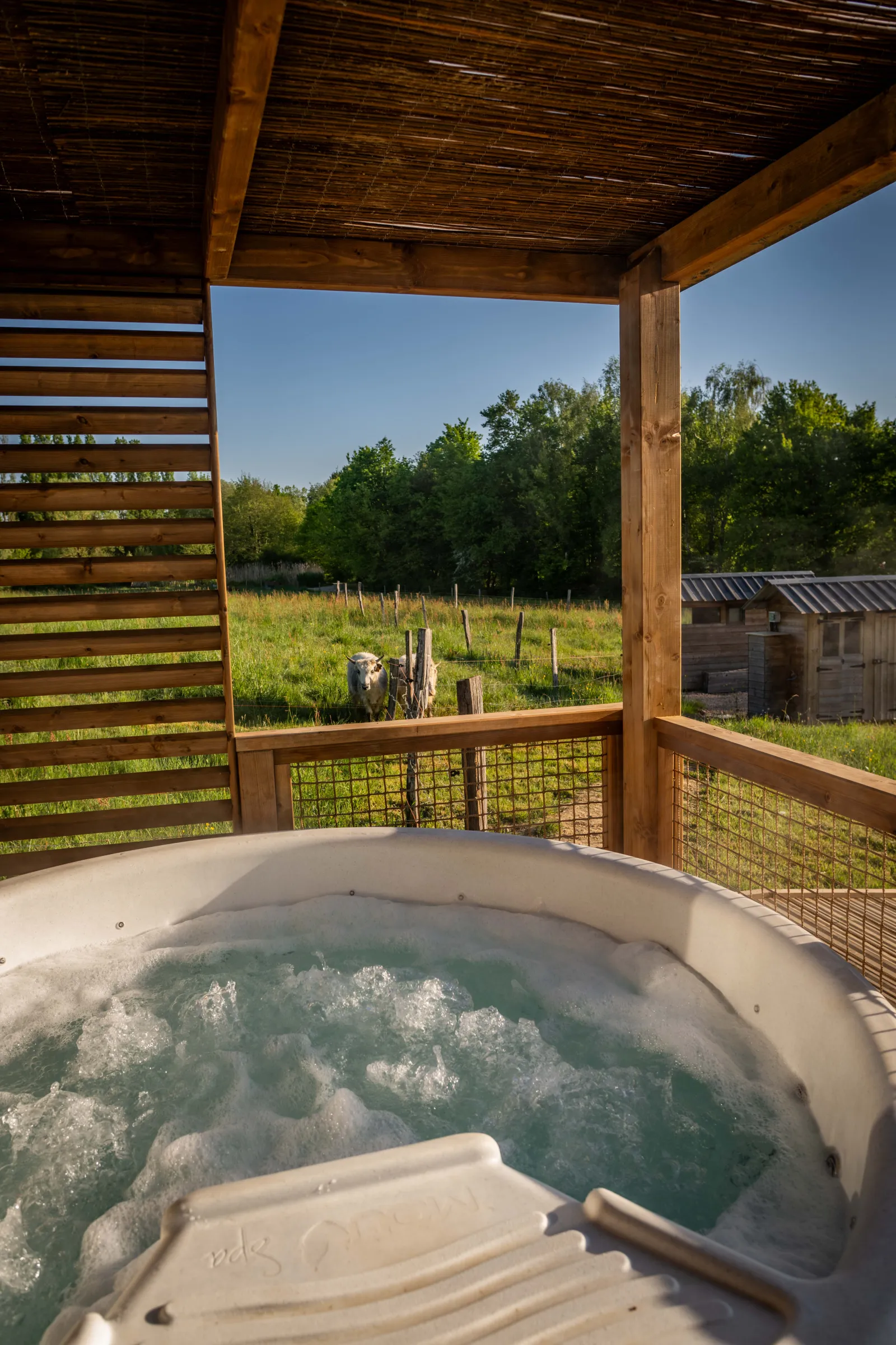 Cabane accessible avec spa à Bâgé-Dommartin, photo 4