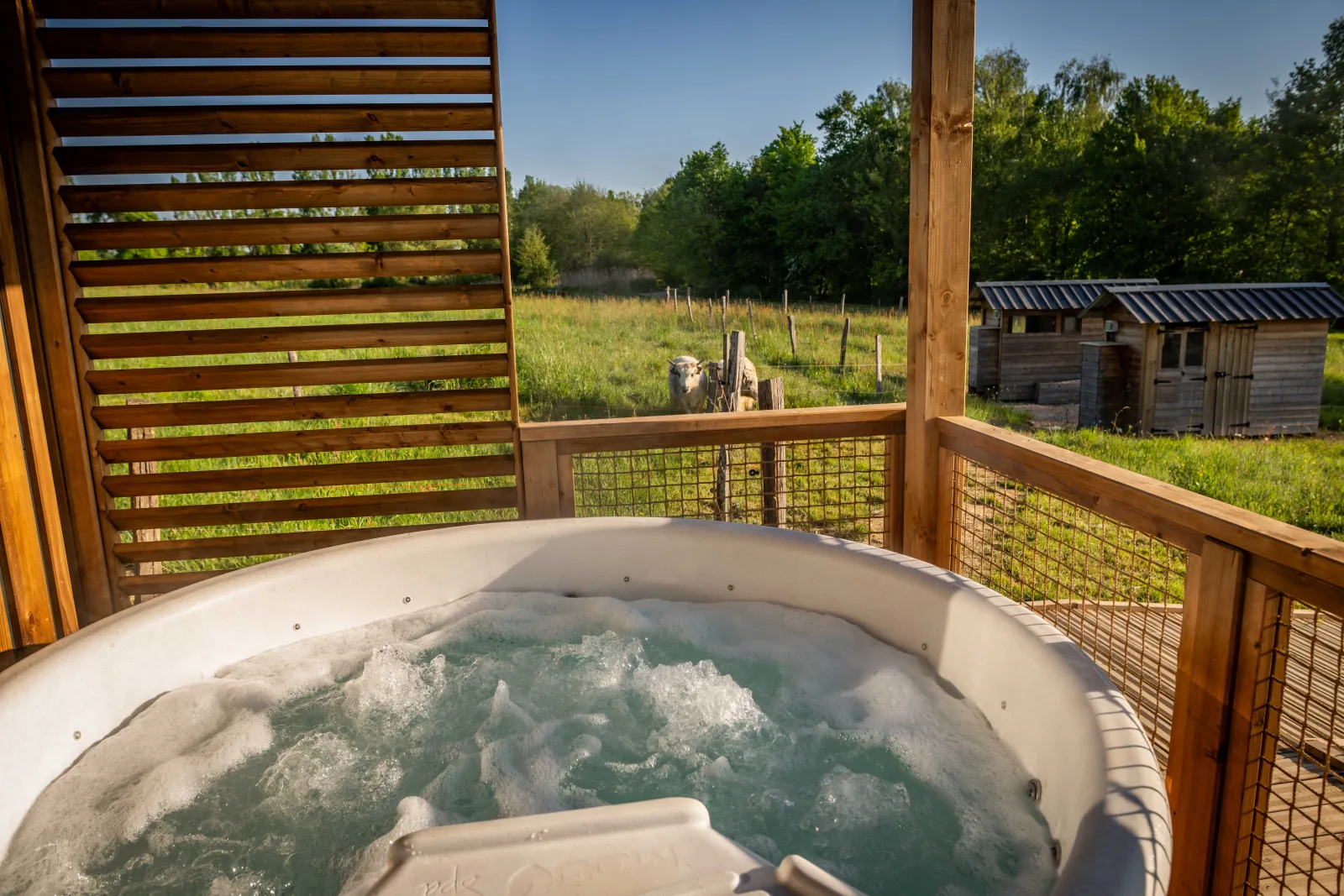 Cabane accessible avec spa à Bâgé-Dommartin, photo 5