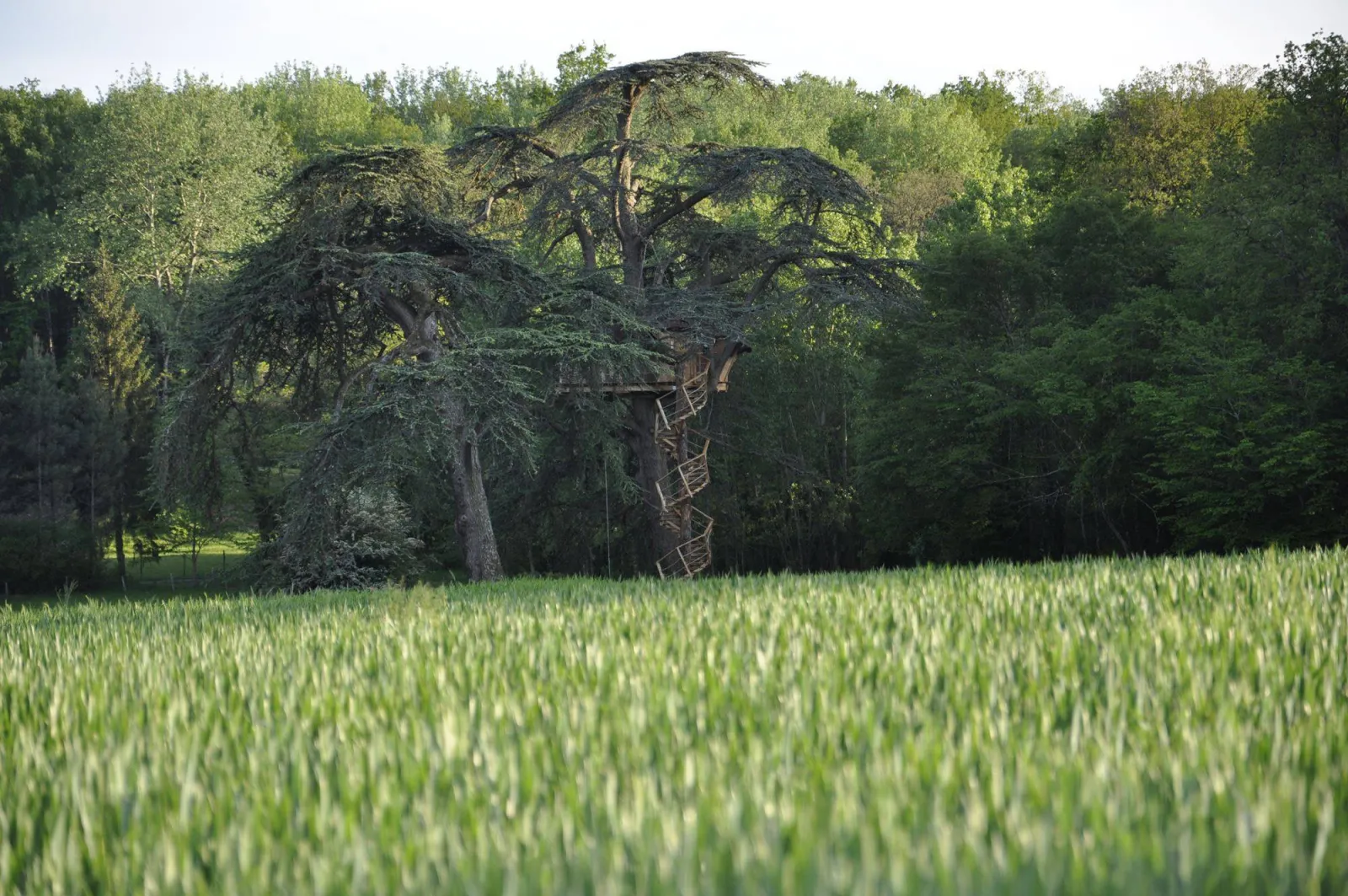 Cabane Africaine à Ballan-Miré, photo 5