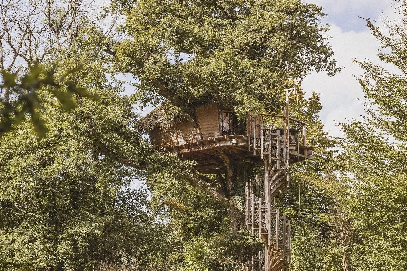 Cabane Amazone, cabane dans les arbres à Chassey-lès-Montbozon