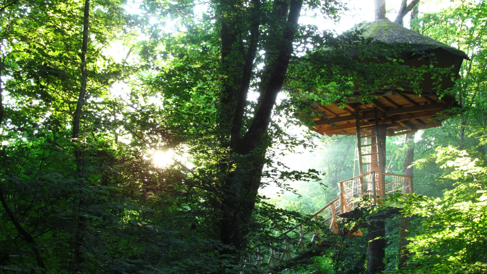 Cabane Amazonie, cabane dans les arbres à Magné