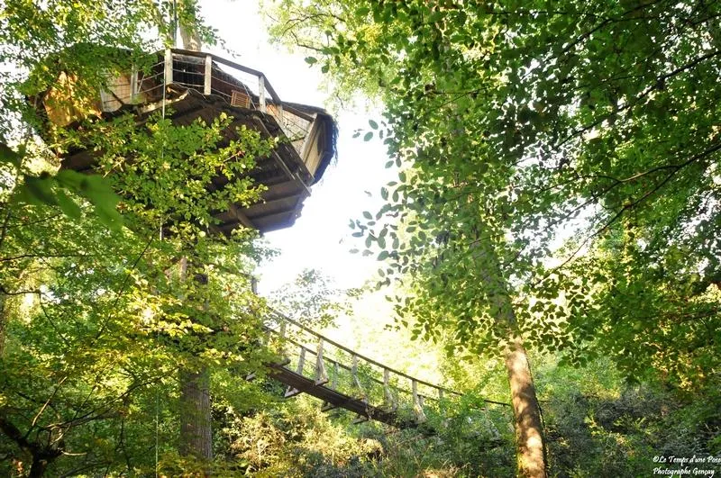 Cabane Amazonie à Magné, photo 3
