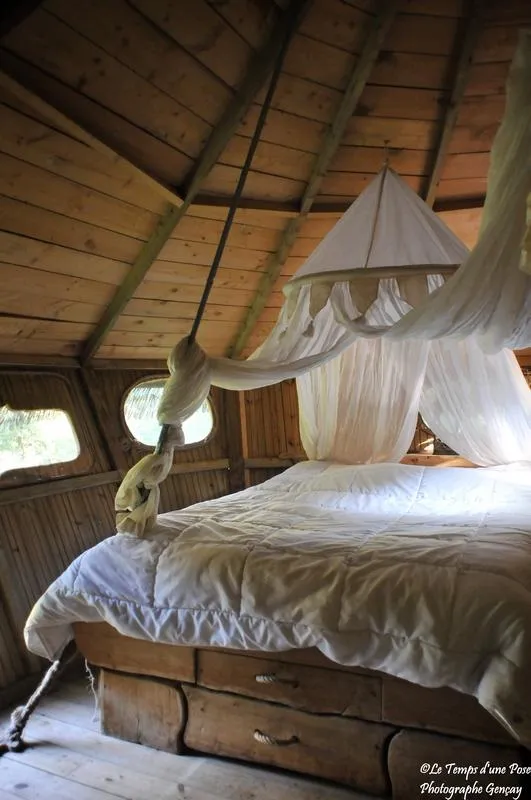 Cabane Amazonie à Magné, photo 5