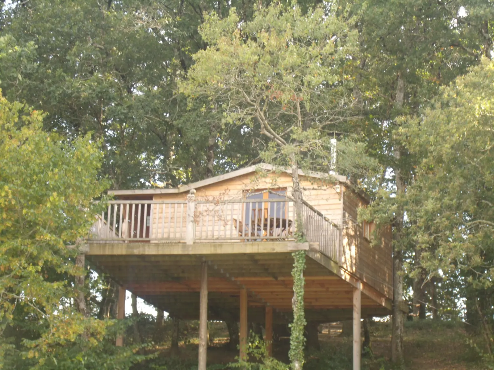 Cabane Anne, cabane au sol à Pouylebon