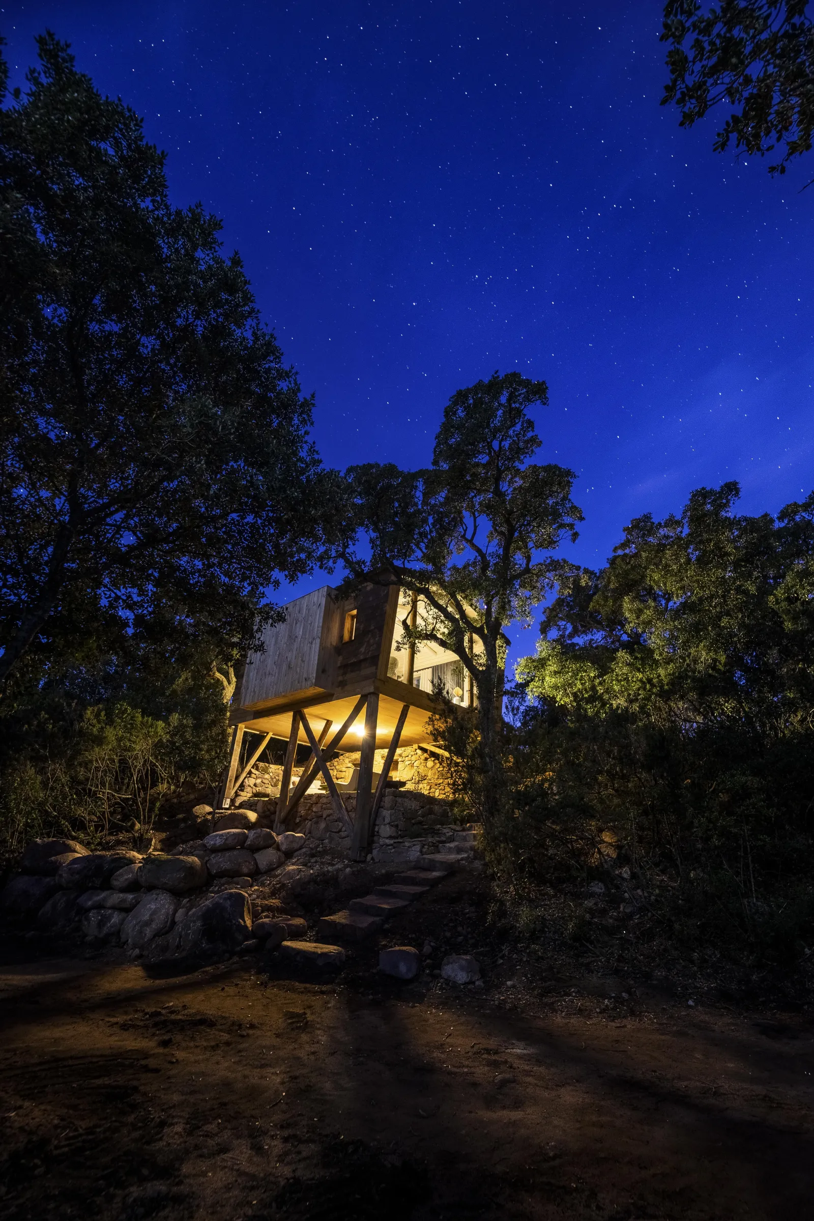 Cabane Aquilae, cabane dans les arbres à Porto-Vecchio