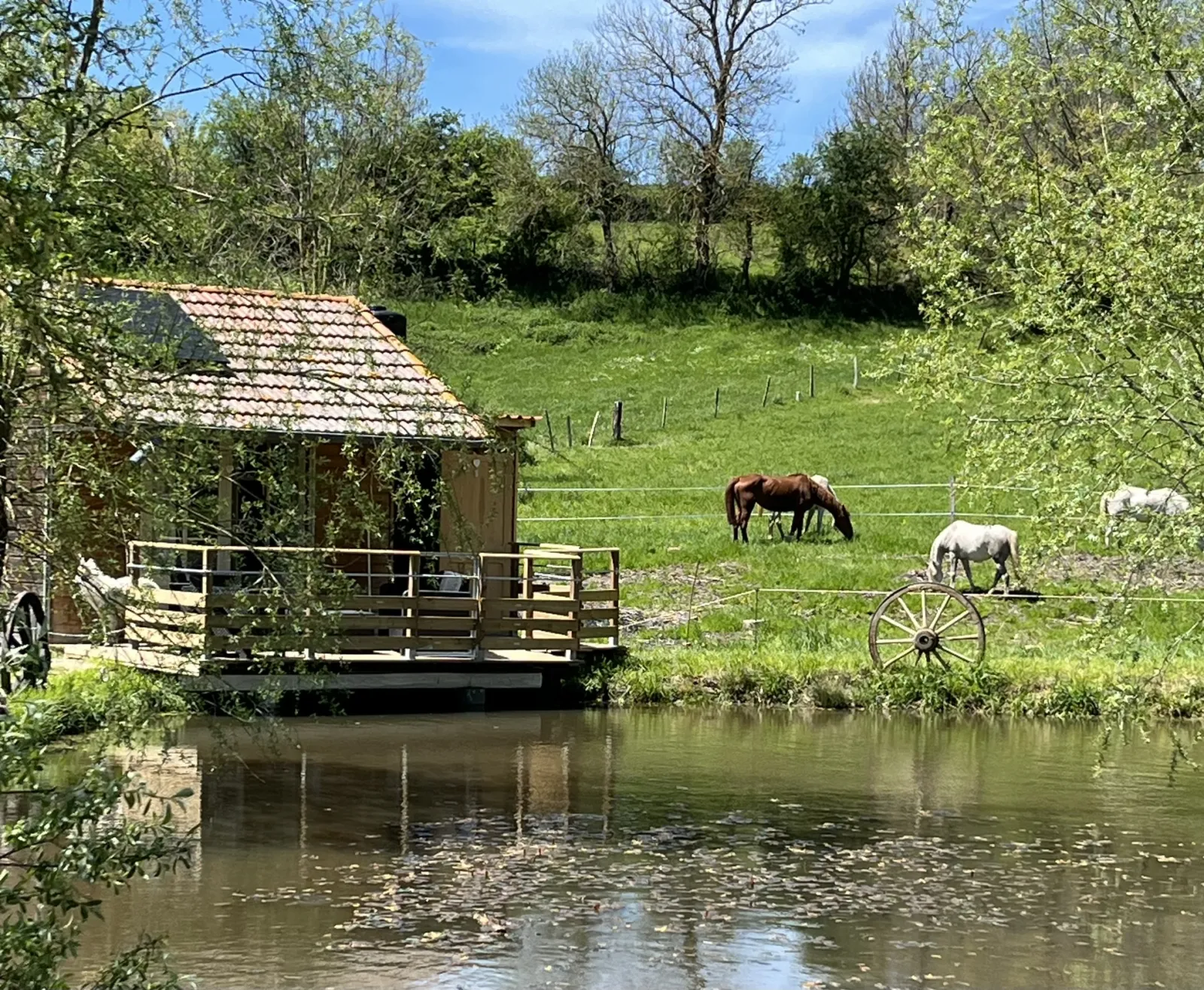 Cabane au bord de l'étang à Saint-Pierre-Eynac, photo 2