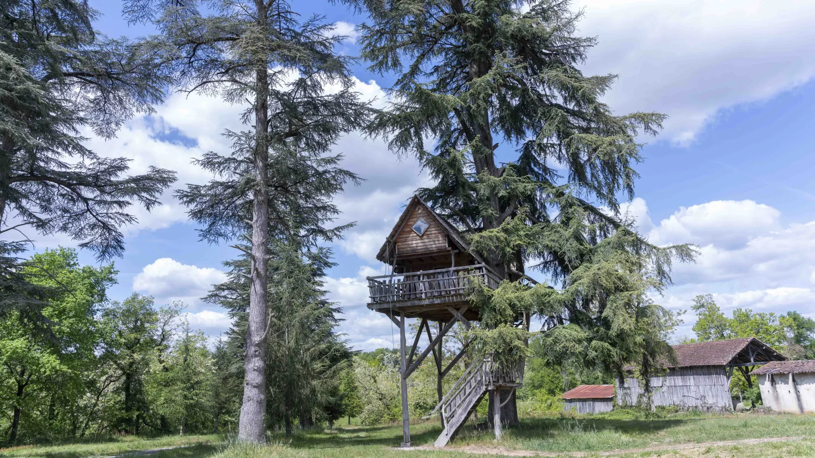 Cabane au Cèdre du Bonheur à Cravencères, photo 4