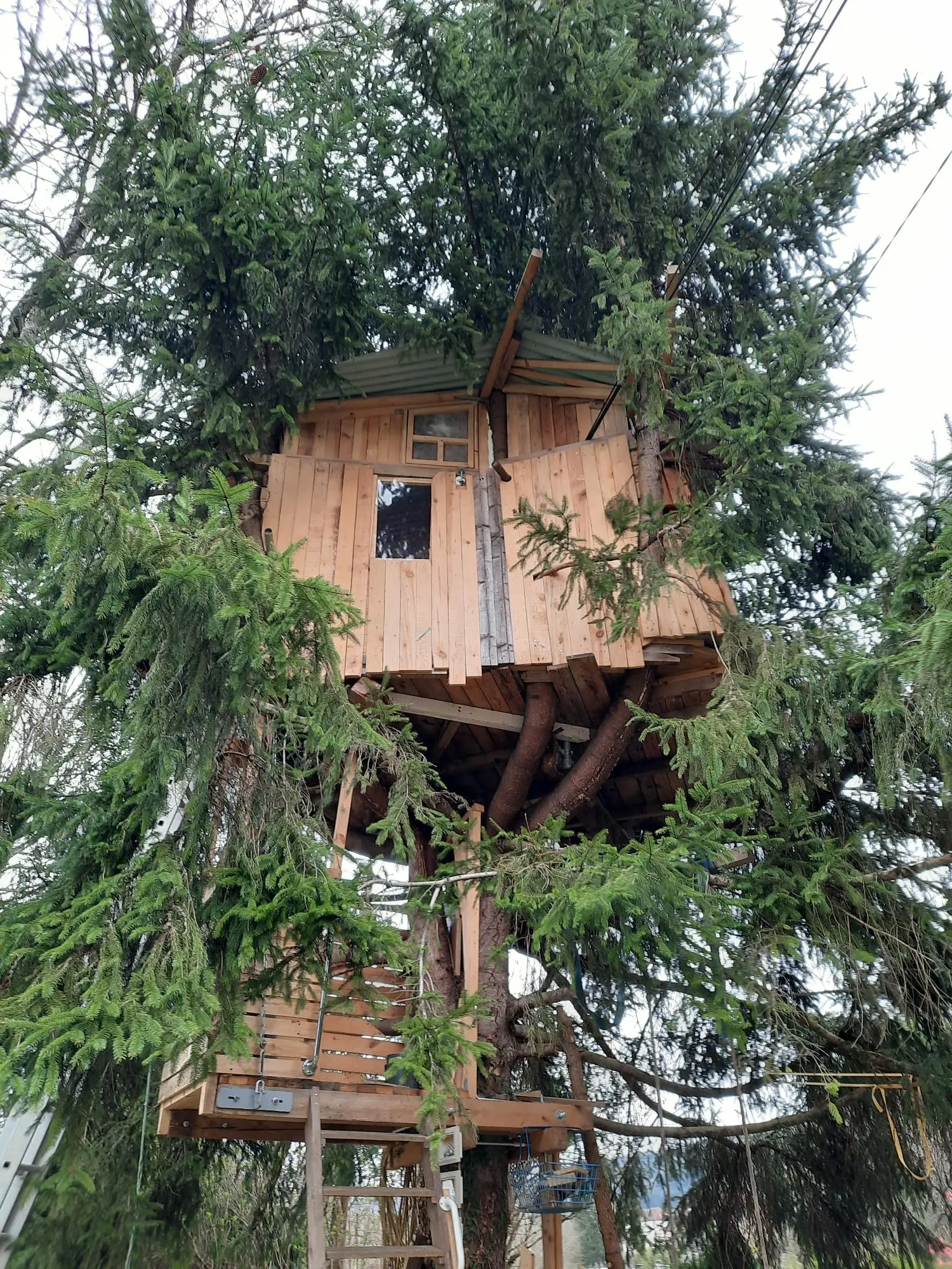Cabane au centre du sapin, cabane dans les arbres à Vaire
