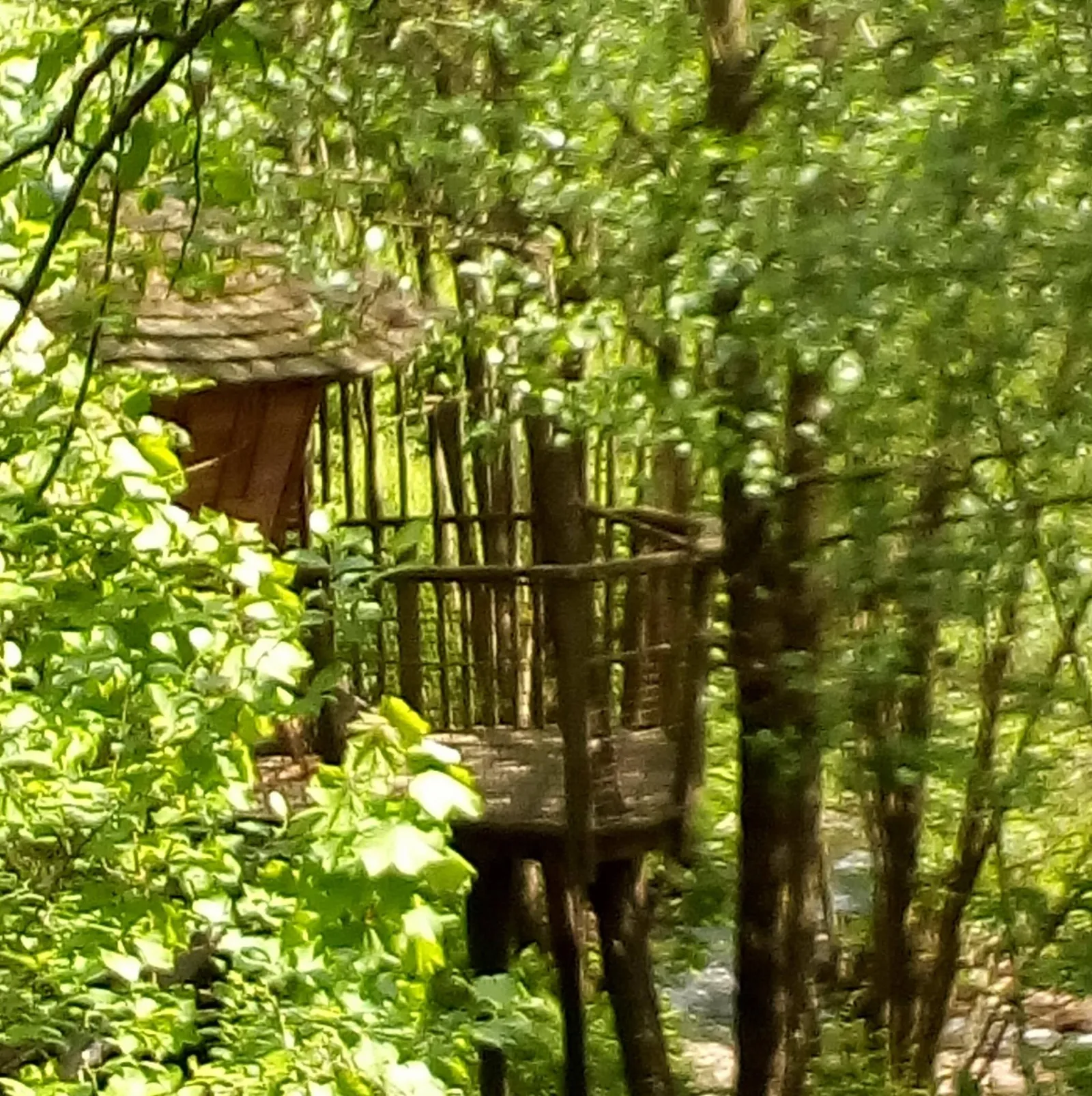 Cabane Au Fil de l'Eau à Grandfontaine, photo 4