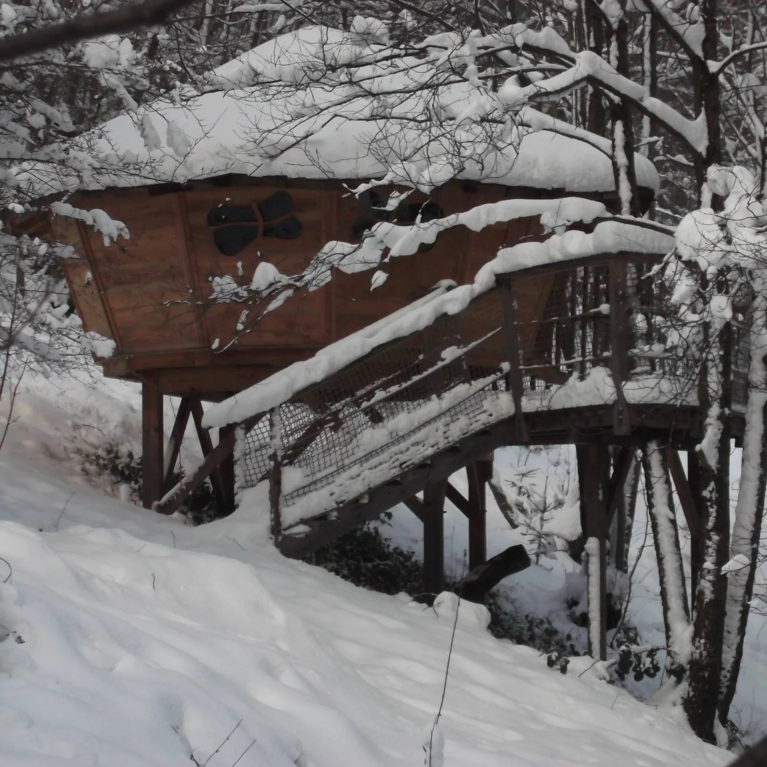 Cabane Au Fil de l'Eau à Grandfontaine, photo 5