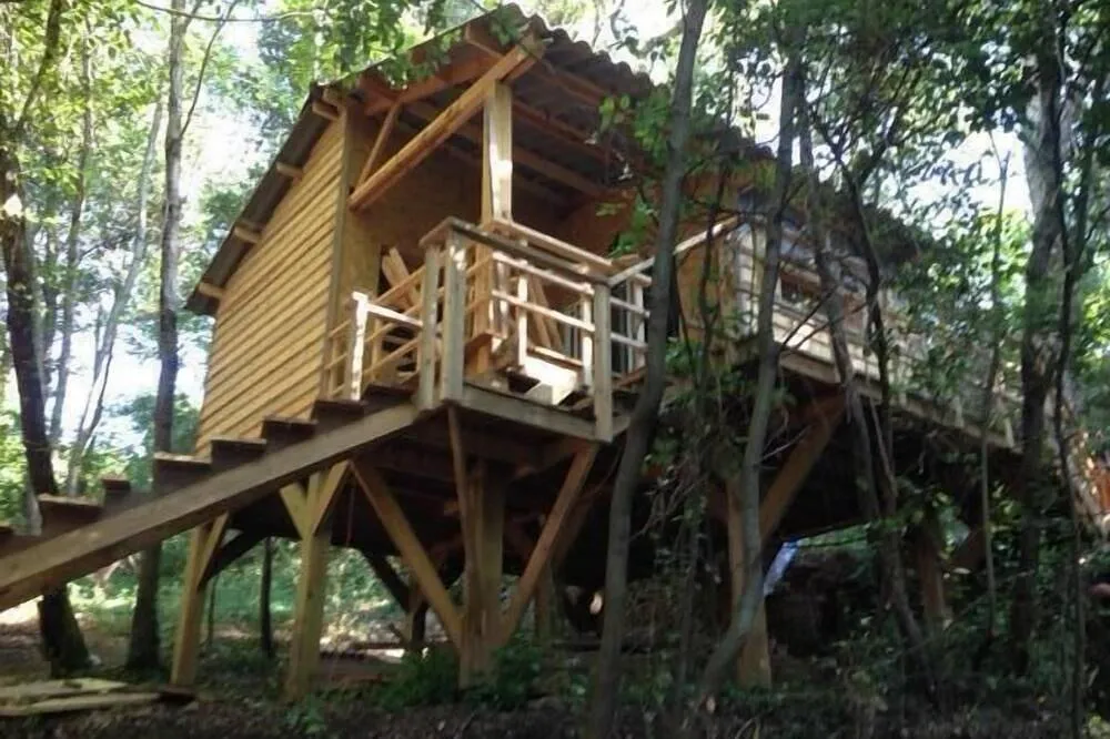 Cabane au milieu des arbres, cabane au sol à Cervione
