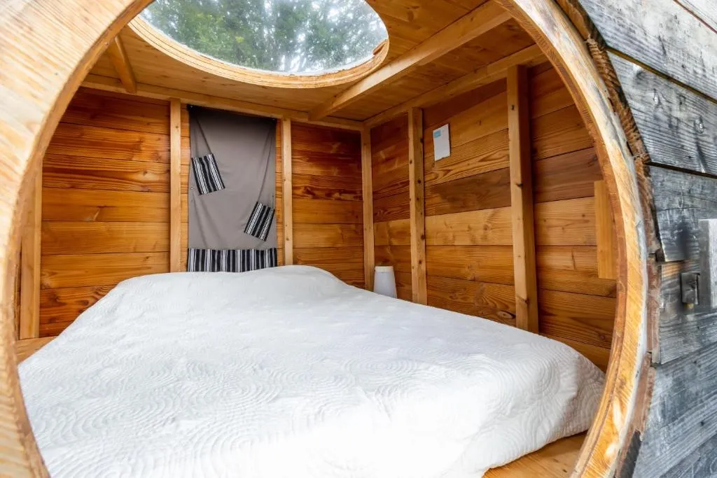 Cabane aux étoiles d'Auriac à Auriac-du-Périgord, photo 2