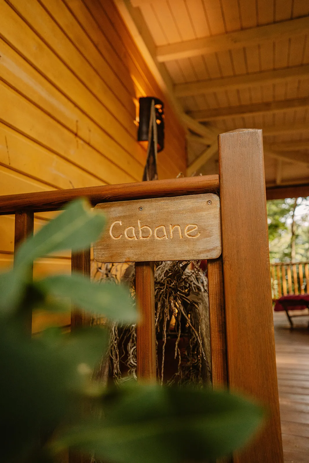 Cabane aux Étoiles à Deshaies, photo 3