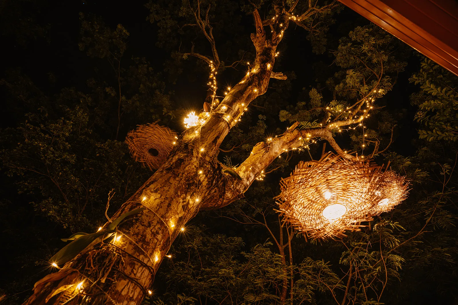 Cabane aux Étoiles à Deshaies, photo 4