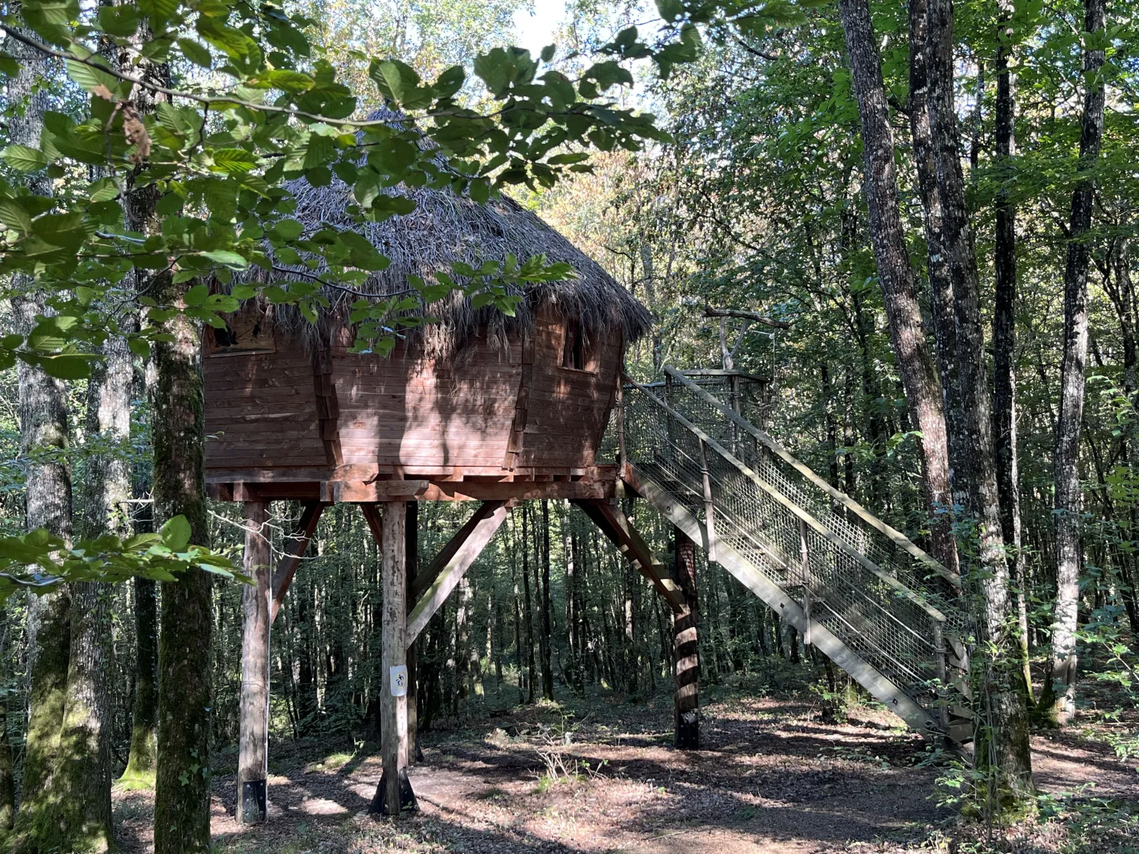 Cabane aux fées, cabane sur pilotis à Chisseaux