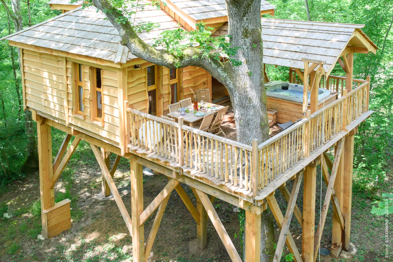 Cabane aux Oiseaux, cabane dans les arbres à La Bussière