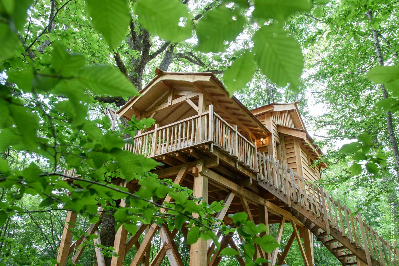 Cabane aux Oiseaux à La Bussière, photo 3