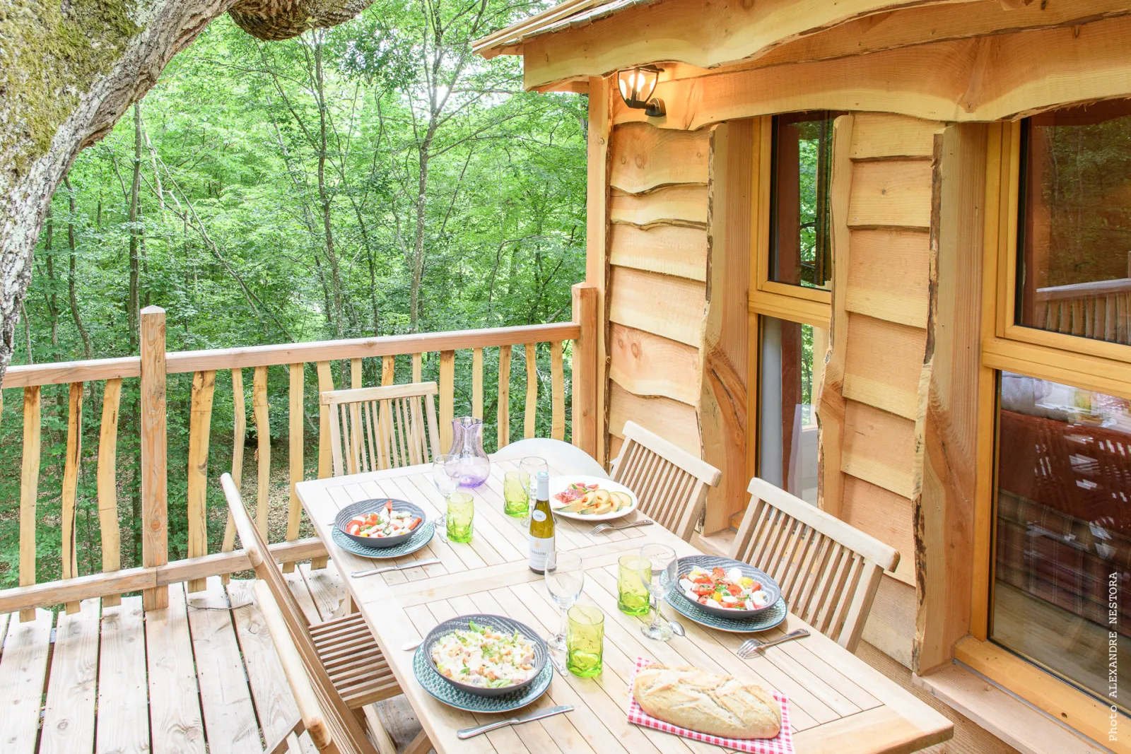 Cabane aux Oiseaux à La Bussière, photo 5