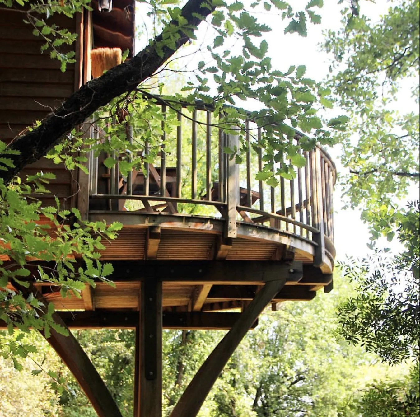Cabane Bagheera à Saint-Paul-de-Vence, photo 3