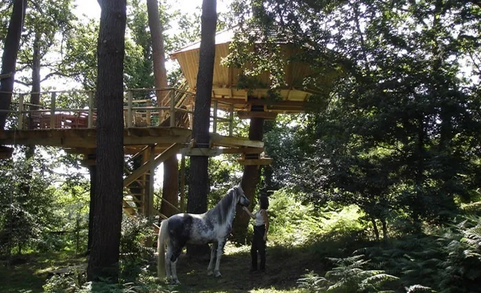 Cabane Baman à Ploemel, photo 2