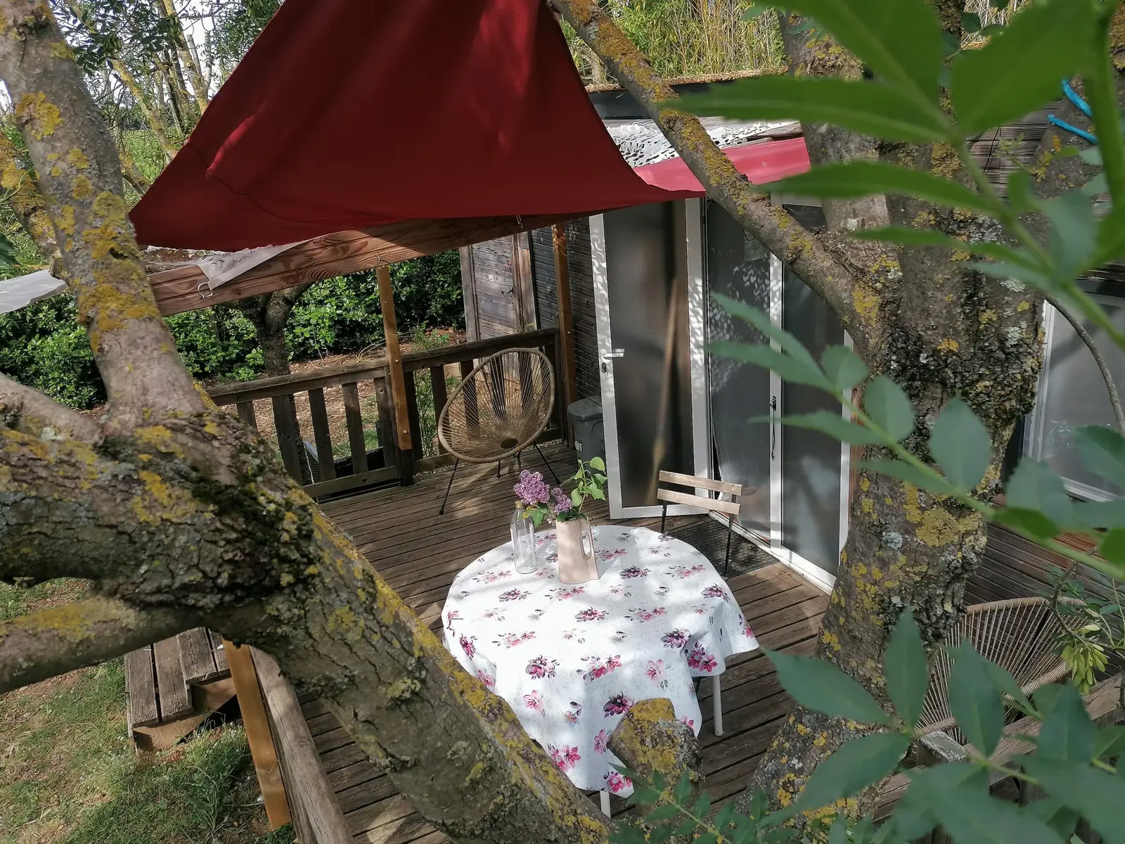 Cabane Barbabou à Beaucaire, photo 3