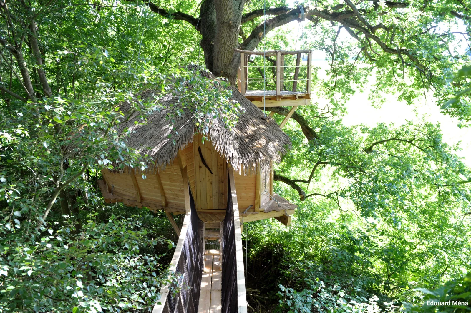Cabane Baron perché à Saint-Germain-des-Essourts, photo 3