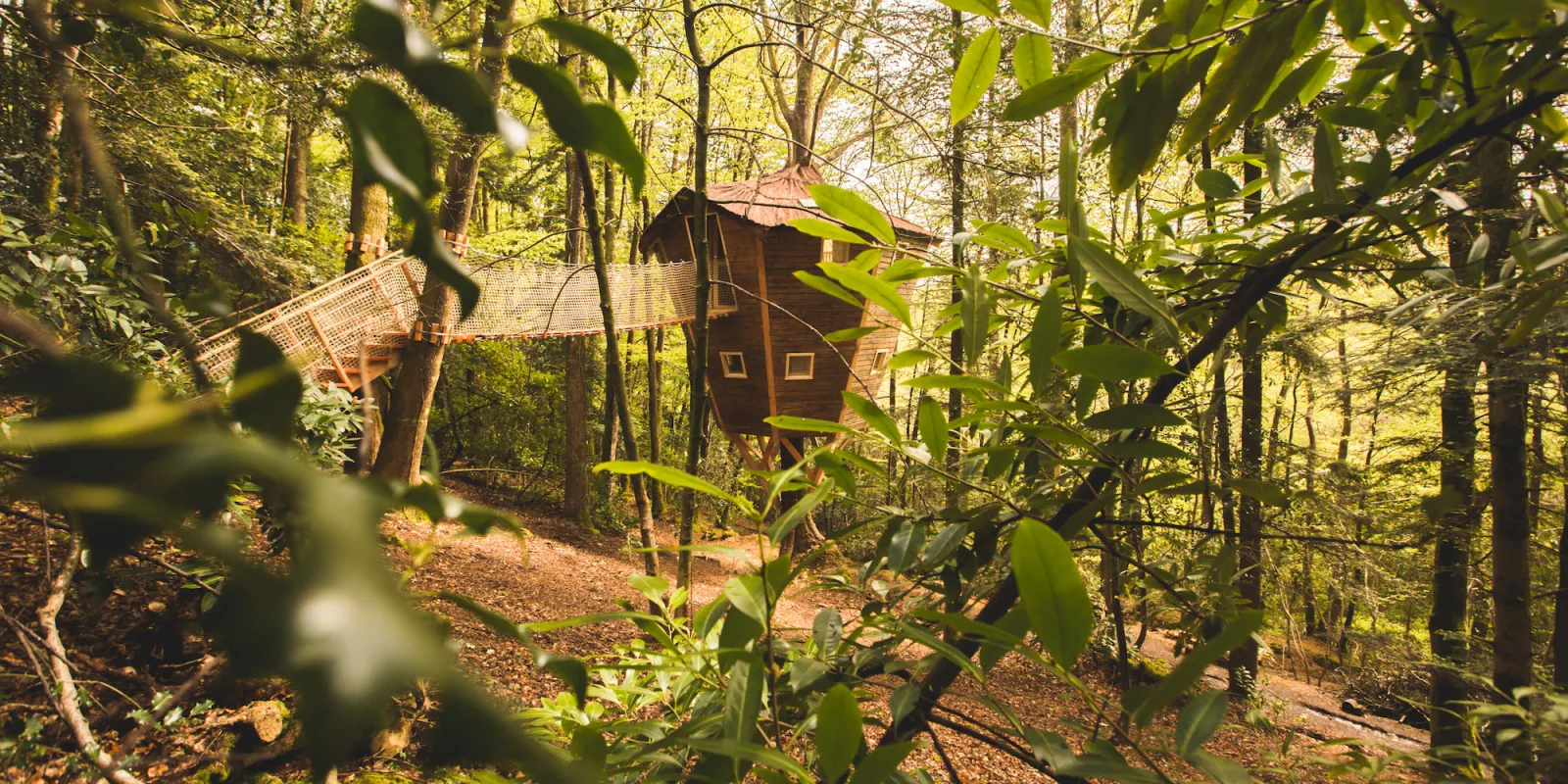 Cabane Ben Lomond, cabane dans les arbres à Pleyber-Christ