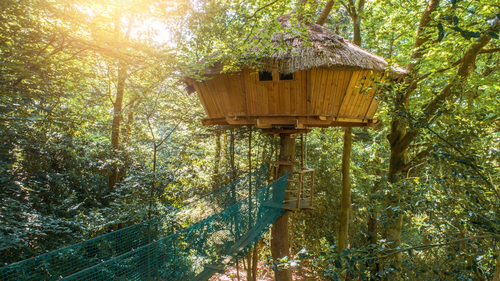Cabane Ben Nevis, cabane dans les arbres à Pleyber-Christ