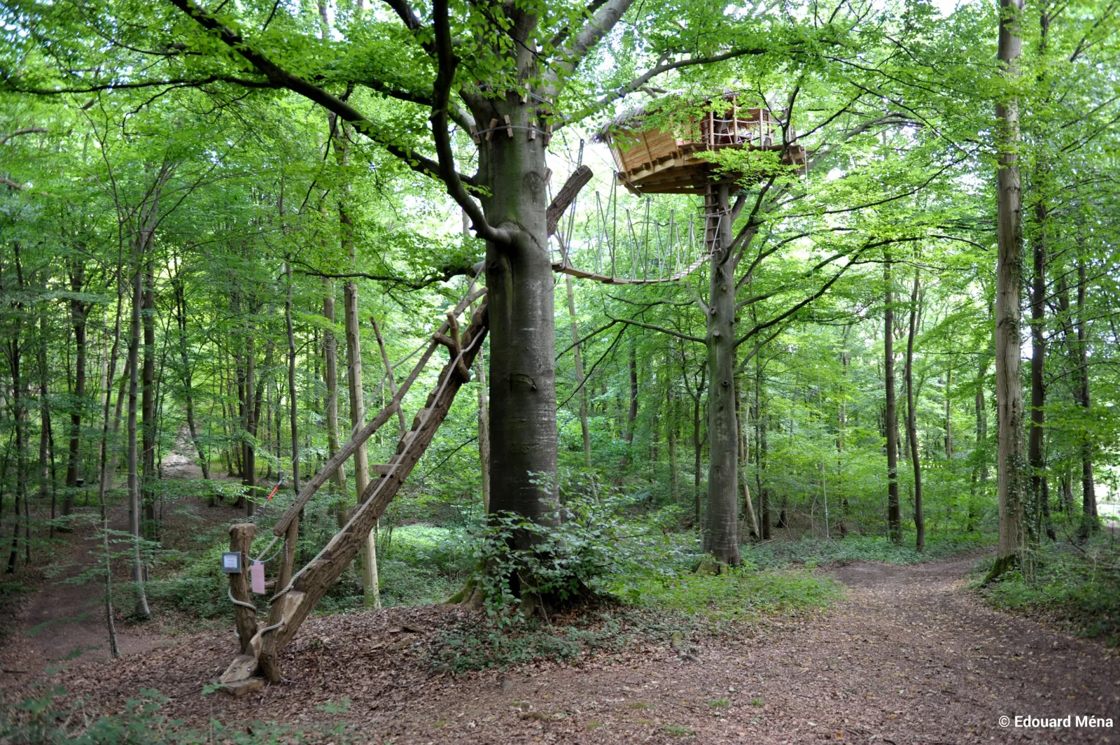 Cabane Berceau, cabane dans les arbres à Saint-Germain-des-Essourts