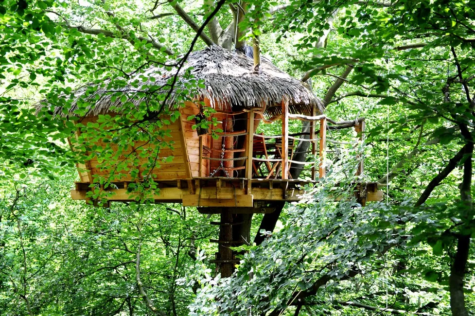 Cabane Berceau à Saint-Germain-des-Essourts, photo 5