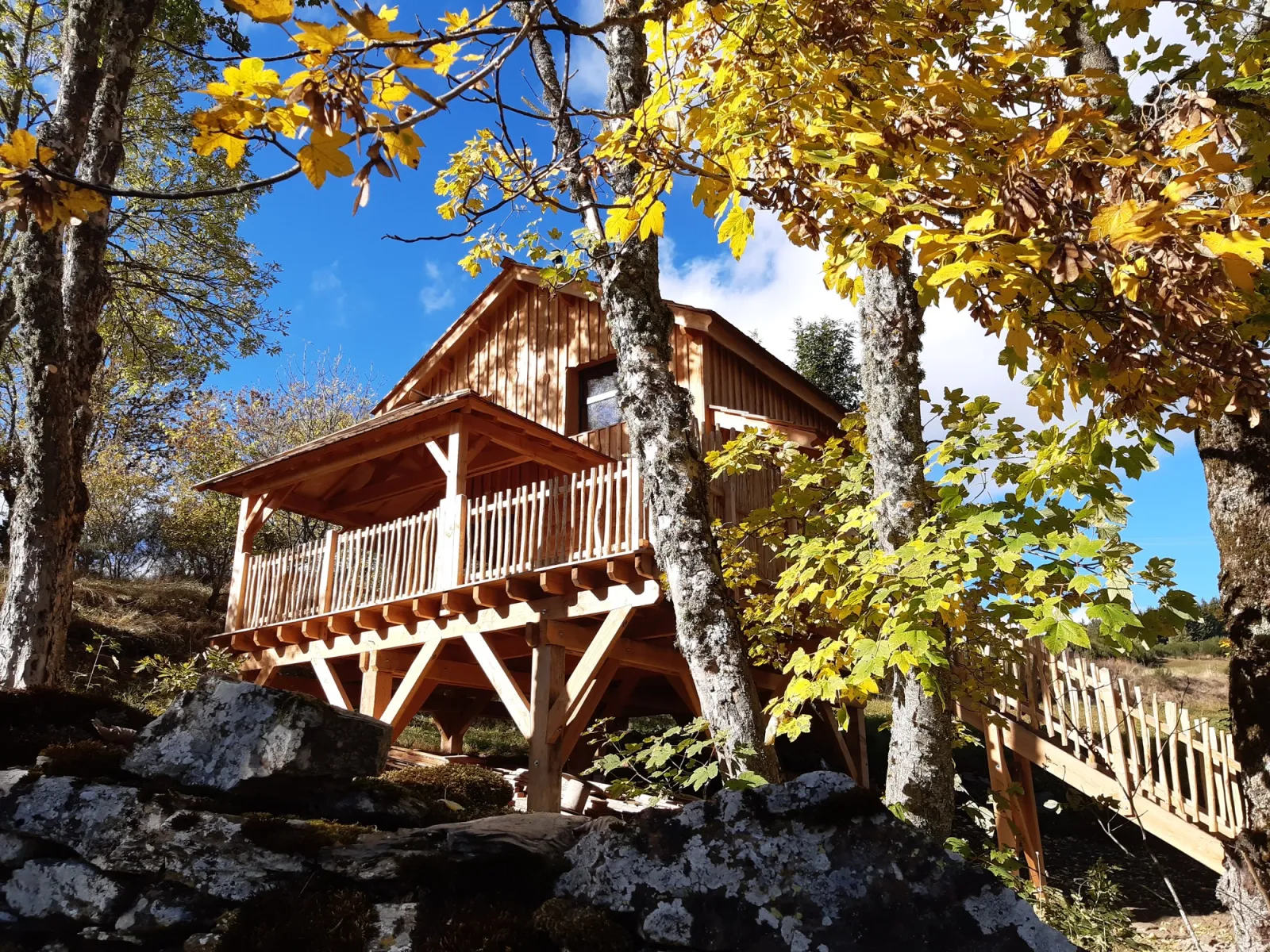 Cabane Bérénice, cabane sur pilotis à Cubières