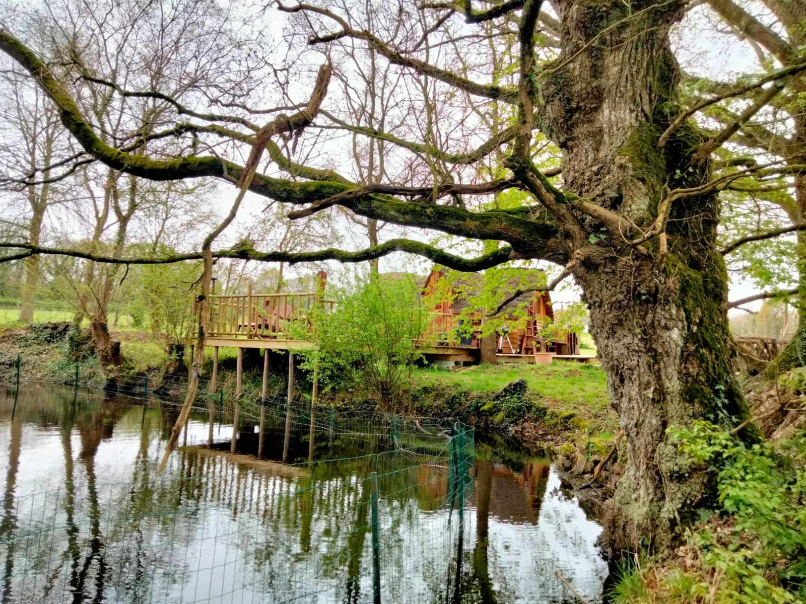 Cabane bohème en Brocéliande à Mauron, photo 4