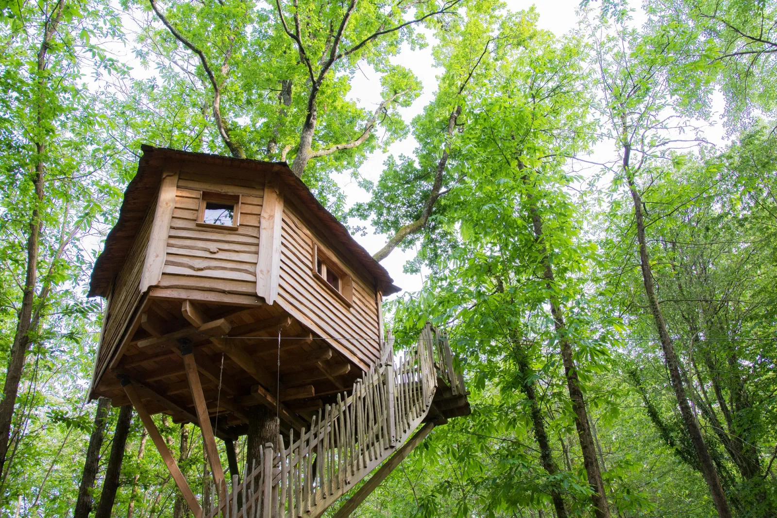 Cabane Brin de Folie, cabane dans les arbres à Coulx