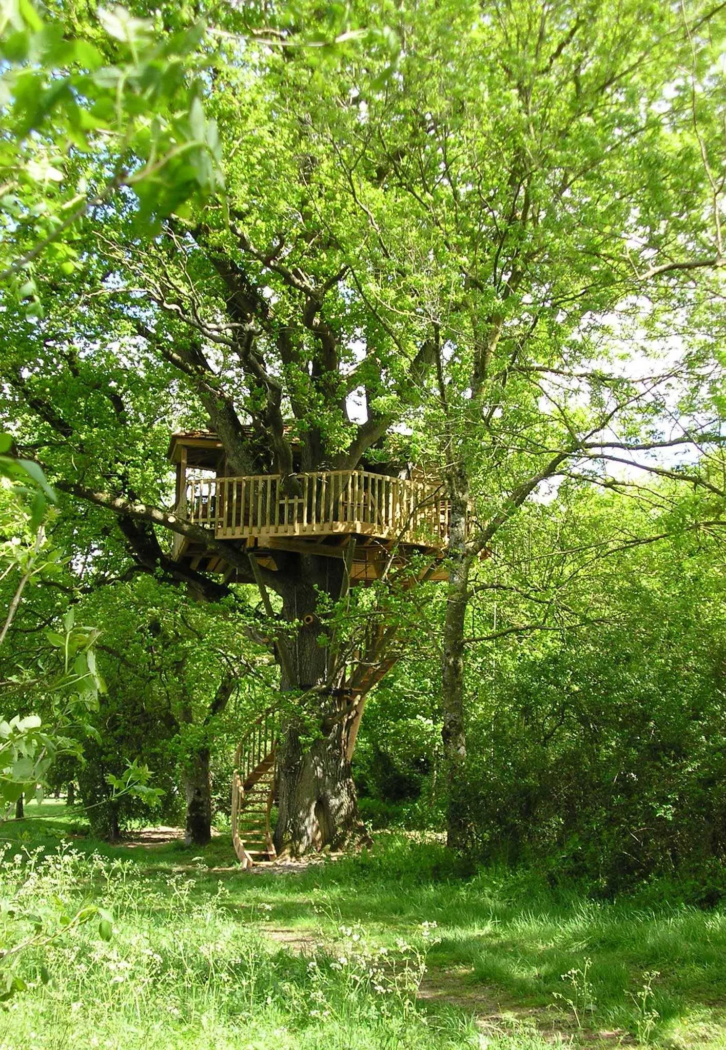 Cabane Bruit d'O, cabane dans les arbres à Sèvremoine