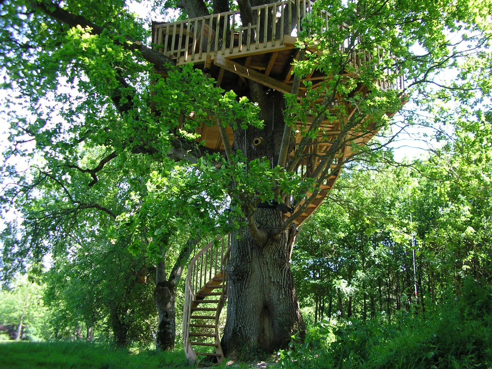 Cabane Bruit d'O à Sèvremoine, photo 4