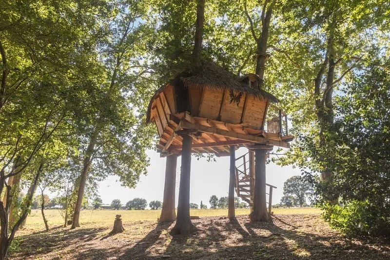 Cabane Butterfly à Saint-Aubin-des-Préaux, photo 2