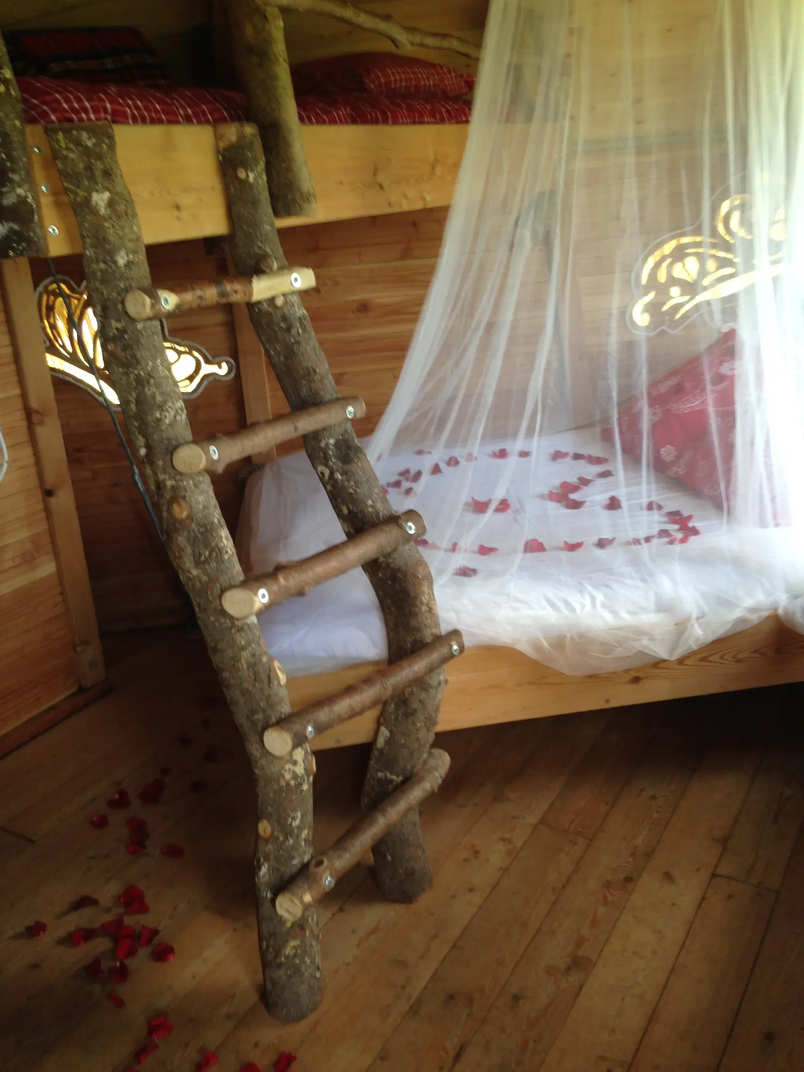 Cabane Butterfly à Saint-Aubin-des-Préaux, photo 4