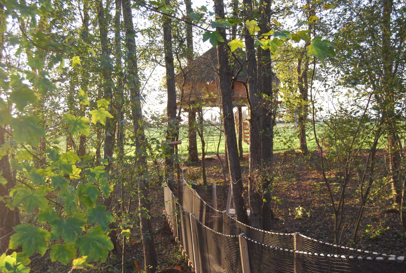 Cabane Butterfly à Saint-Aubin-des-Préaux, photo 5