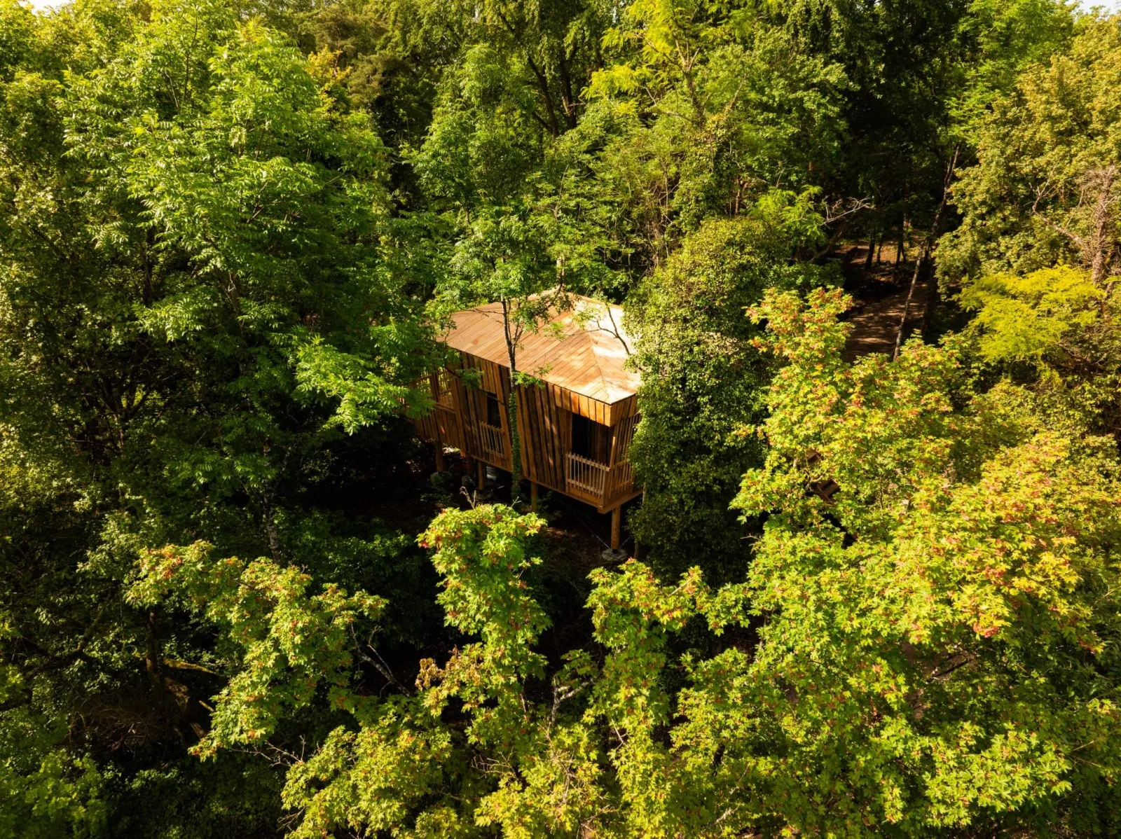 Cabane du Coteau Duo à Moret-Loing-et-Orvanne, photo 2