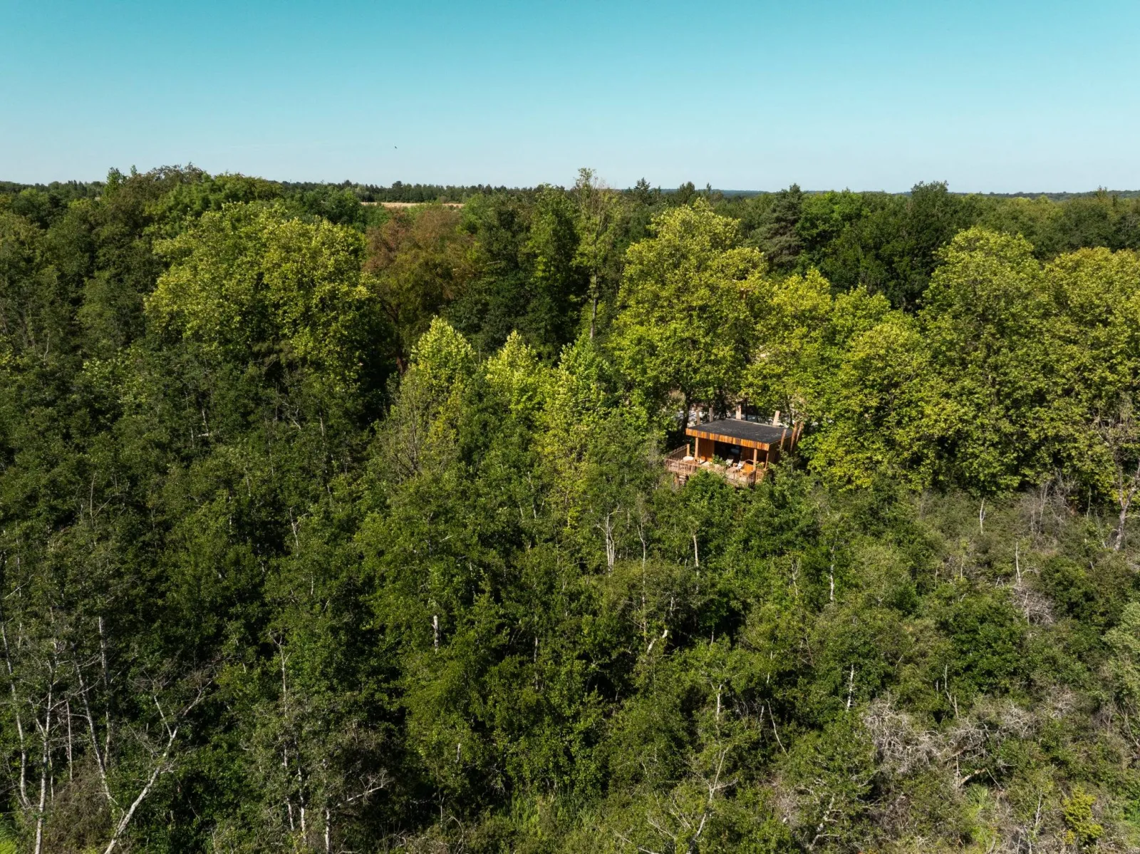 Cabane du Marais à Moret-Loing-et-Orvanne, photo 2
