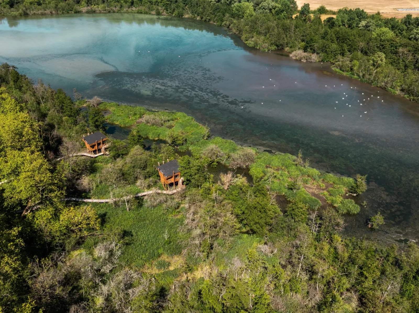Cabane du Rivage à Moret-Loing-et-Orvanne, photo 5