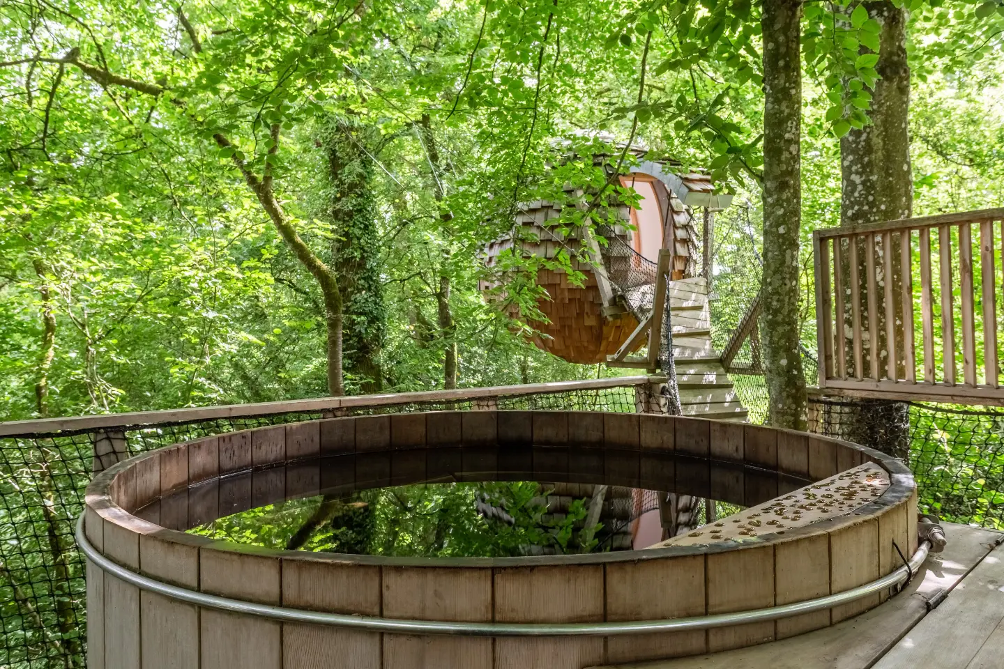 Cabane Lov'Nid Spa, cabane dans les arbres à La Baconnière