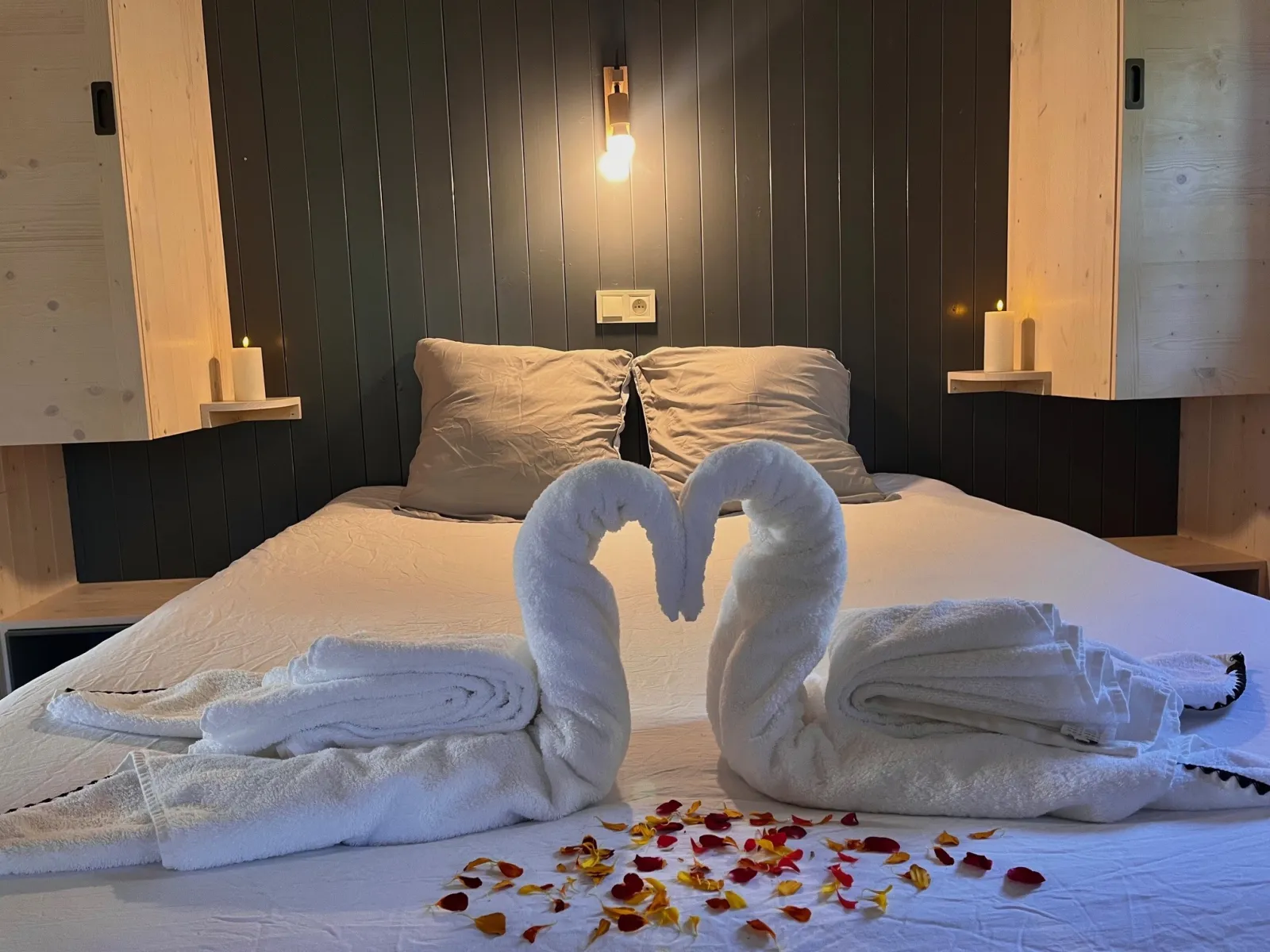 Cabane Romantique avec Jacuzzi à Saint-Astier, photo 3