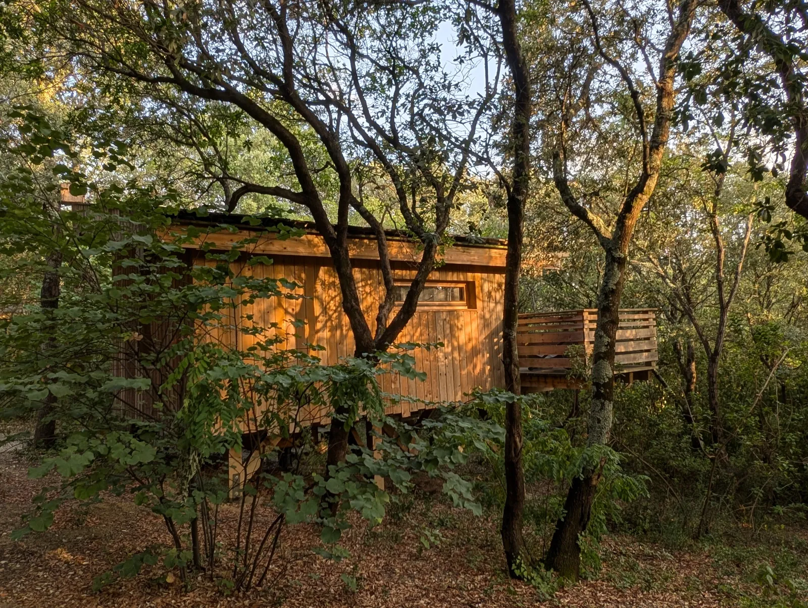 Cabane Cagna, cabane sur pilotis à Villalier